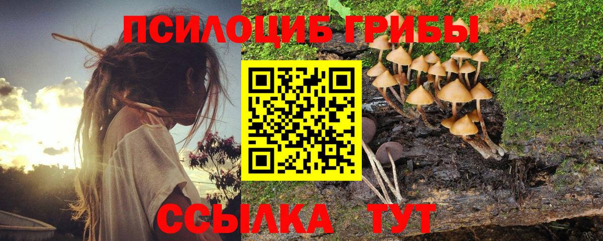Псилоцибиновые грибы Magic Shrooms Елизово