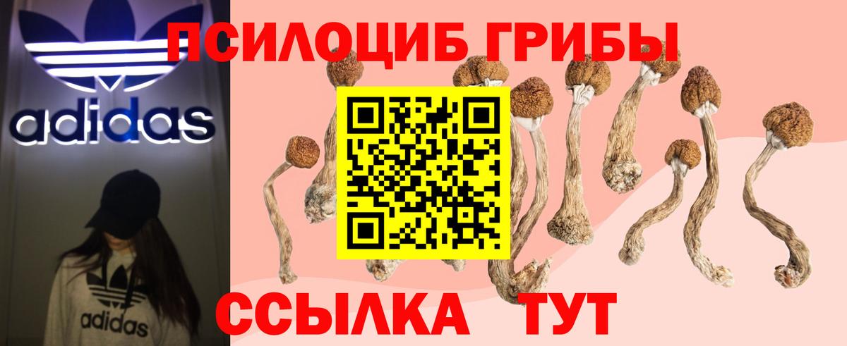 Галлюциногенные грибы Magic Shrooms  Псилоцибиновые грибы Psilocybe  Вход с VPN  Елизово 